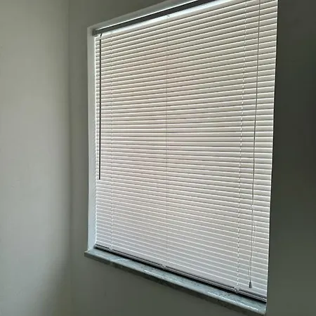 Mazzella ايسكيا